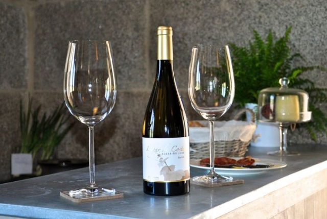 cata de vinos